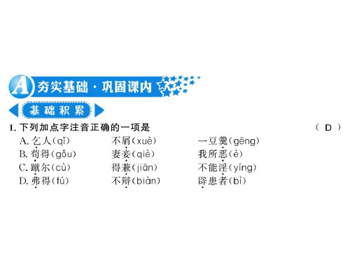 秋语文版九年级语文上册(遵义)习题课件：23 《孟子》二则 (共17张PPT)