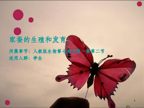 家蚕的生殖和发育ppt课件