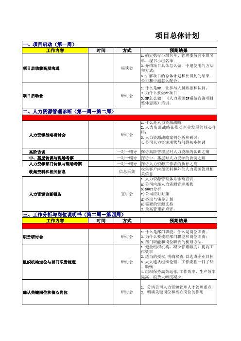 3P项目总体计划