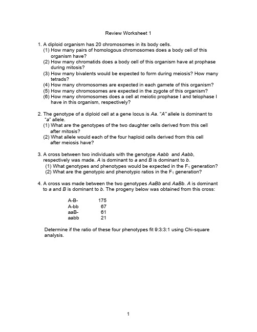 Review worksheet 1