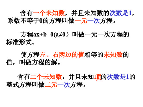 人教版初三数学二元一次方程组4(PPT)5-1