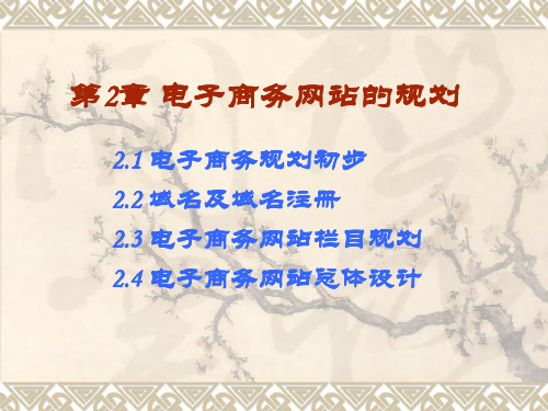 电子商务网站的规划PPT课件
