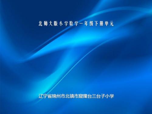 一年级下册数学优秀课件-3.3《数豆子》北师大版(秋)(共28张ppt)