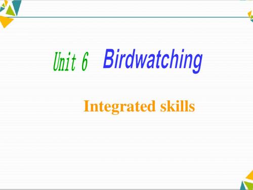 牛津译林英语八上 Unit6 Birdwatching Integrated skills (共39张PPT)