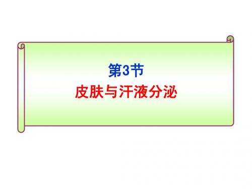 第3节  皮肤与汗液分泌