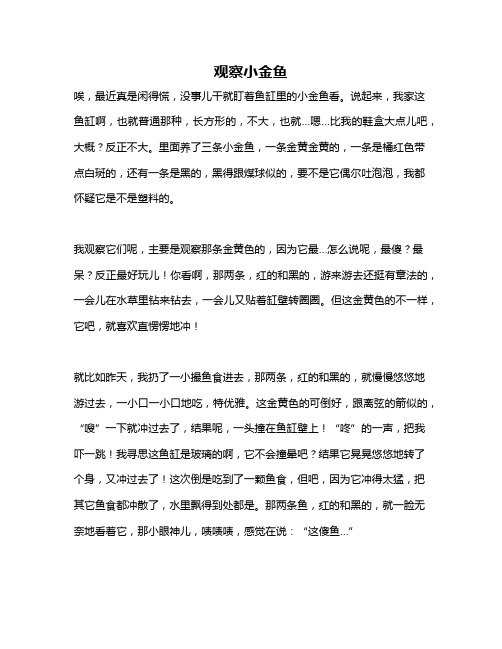 作文《观察小金鱼》