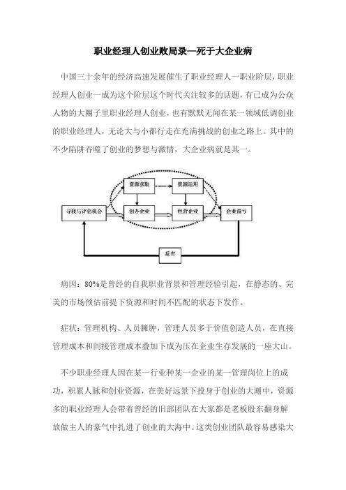 职业经理人创业败局录—死于大企业病