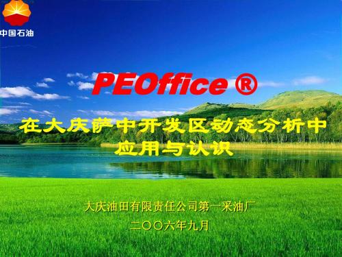 PEOffice 在大庆萨中开发区动态分析中应用与认识