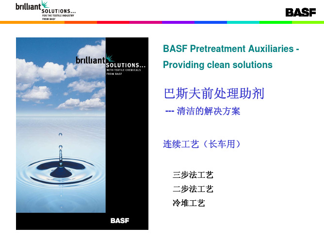 BASF_前处理Pretreatment-padding
