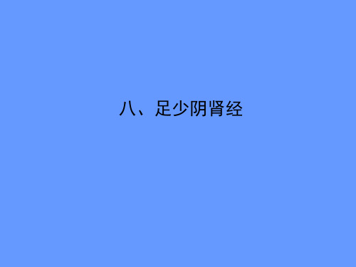 足少阴肾经课件