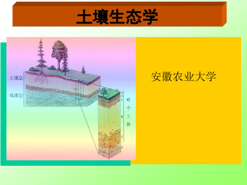 土壤生态学(绪论)