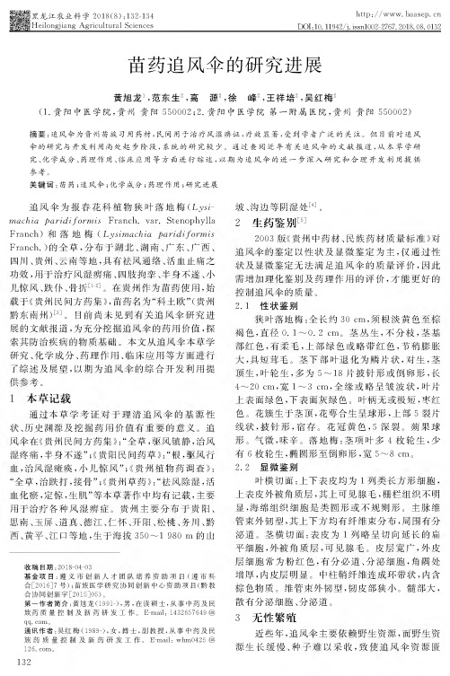 苗药追风伞的研究进展