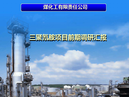三聚氰胺项目可研汇报