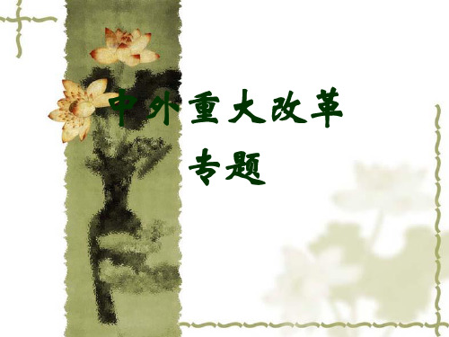 高三历史中外重大改革专题课件