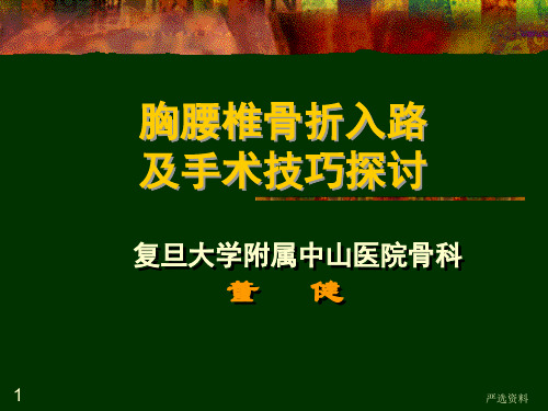胸腰椎脊柱骨折手术入路及技巧(医疗课件)