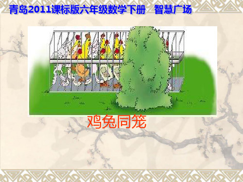 青岛版六年级下册数学《鸡兔同笼问题》