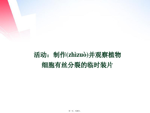 高中生物 专题活动 制作并观察植物细胞有丝分裂的临时装片课件 浙科版必修1