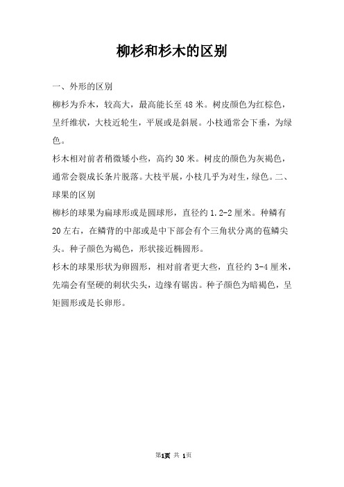 柳杉和杉木的区别 