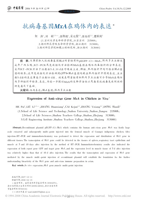 抗病毒基因MxA在鸡体内的表达