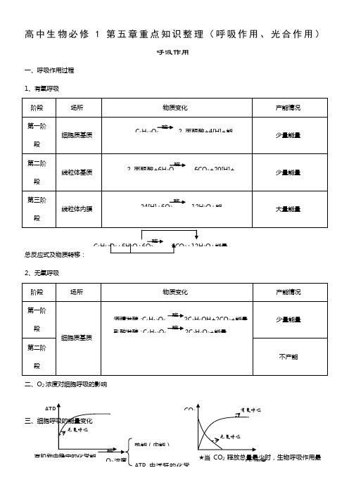 高中生物必修1第五章重点知识整理(呼吸作用、光合作用)