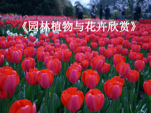 第一章园林植物景观素材及其观赏特性