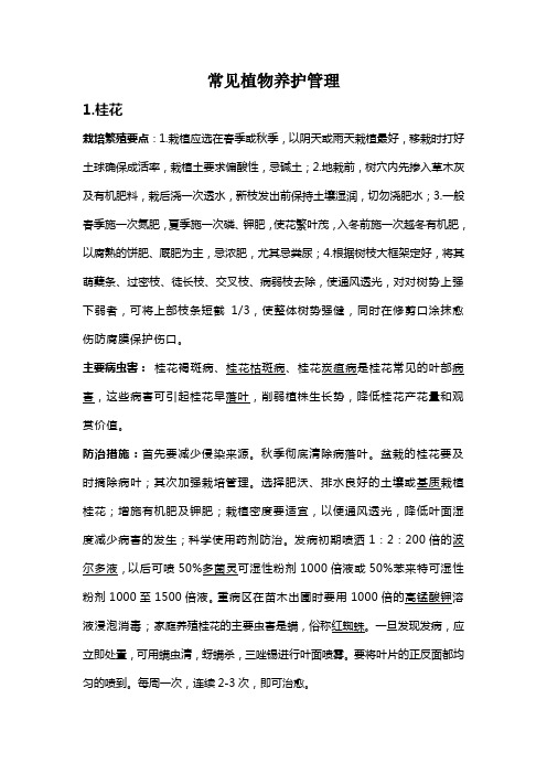 常见植物养护