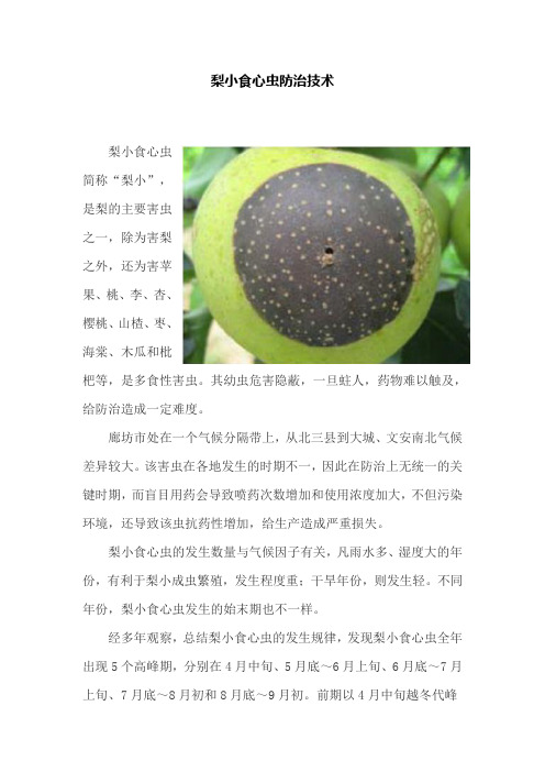 梨小食心虫防治技术