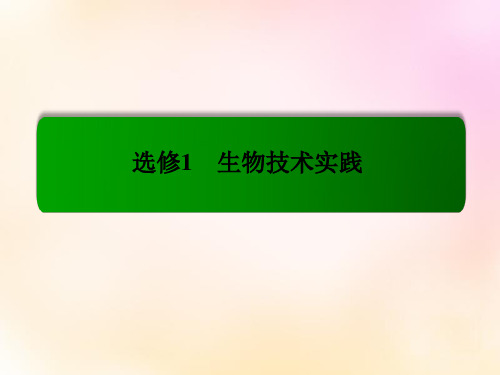 2016届高考生物总复习 专题1 传统发酵技术的应用课件 新人教版选修1