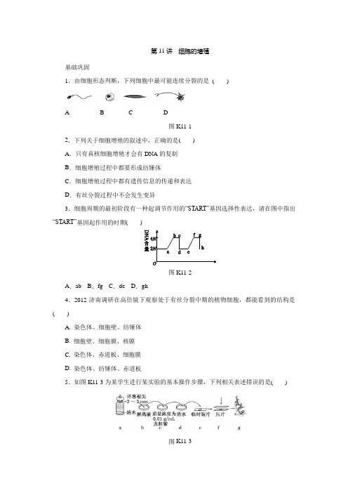 2014高考生物一轮复习方案课时作业：11细胞的增殖(精)