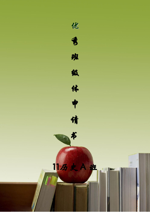 11历史A班优秀班级体文字材料
