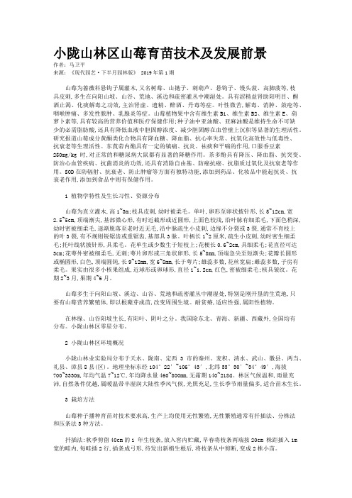 小陇山林区山莓育苗技术及发展前景
