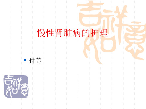 慢性肾脏病的护理精品PPT课件