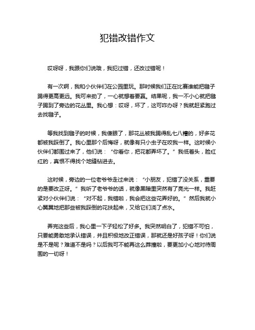 犯错改错作文
