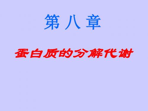 蛋白质的分解代谢