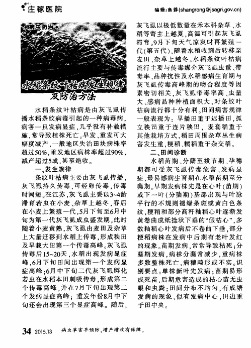 水稻条纹叶枯病发生规律及防治方法