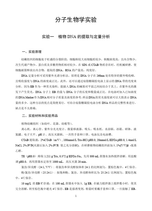 分子生物学实验