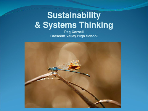 Sustainability Systems Thinking