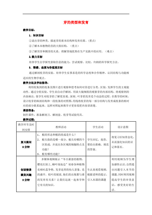 山东省滕州西岗中学八年级生物上册 4.1.6 芽的类型和发育优秀教案 济南版