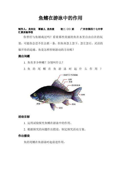 探究鱼鳍在游泳中的作用.doc