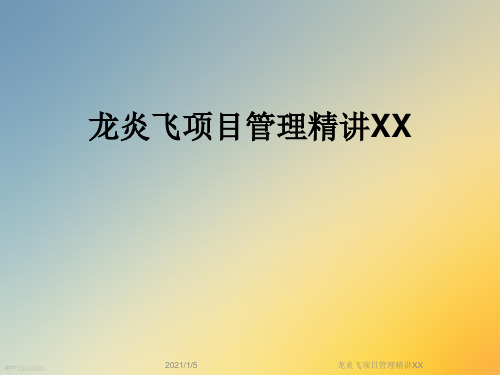 龙炎飞项目管理精讲XX