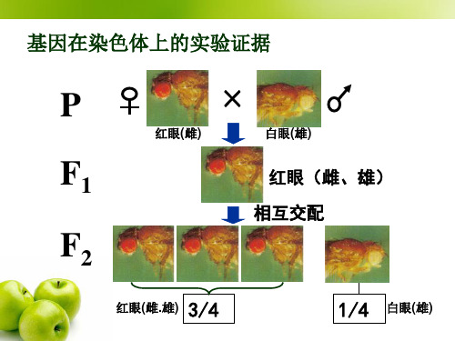 科学家访谈 探索生物大分子的奥秘
