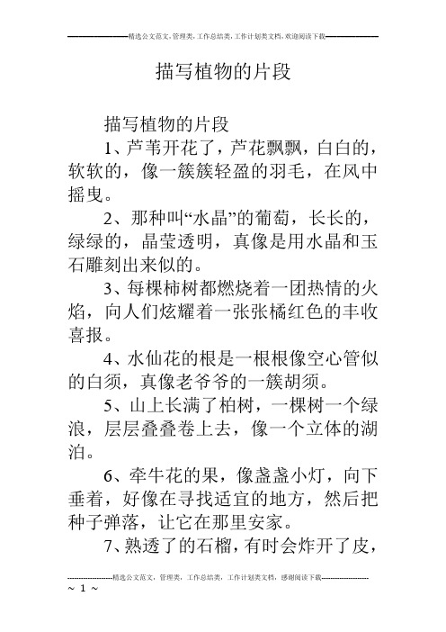 描写植物的片段