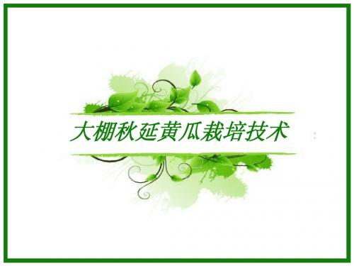 大棚秋延黄瓜栽培技术