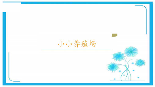 北师大版一年级下册数学优秀课件-3.5《小小养殖场》(共14张)
