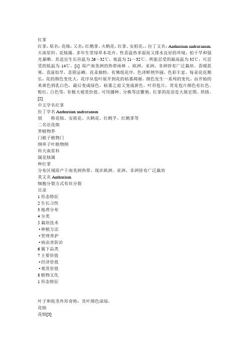 红掌