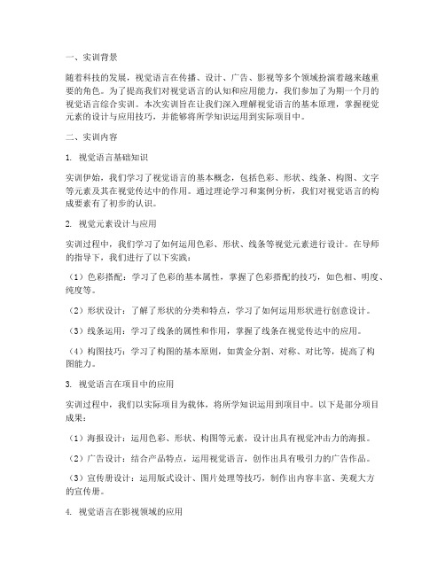 视觉语言综合实训报告