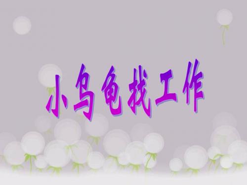 《小乌龟找工作》课件1