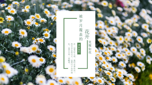 小清新笑履如花通用模板