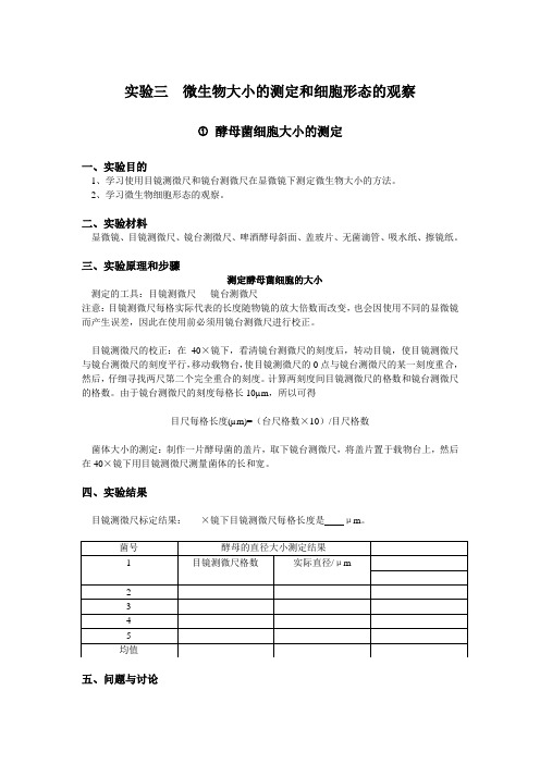 微生物大小的测定和细胞形态的观察