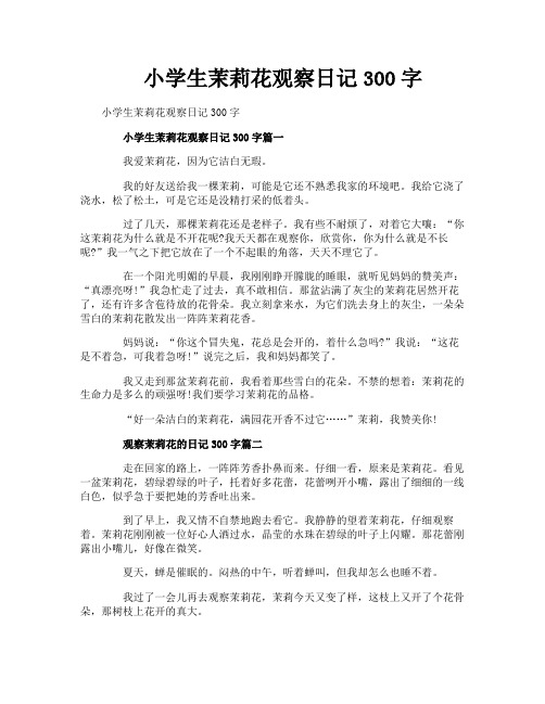 小学生茉莉花观察日记300字